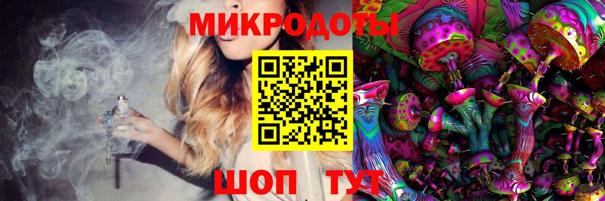 Галлюциногенные грибы Psilocybine cubensis Советская Гавань